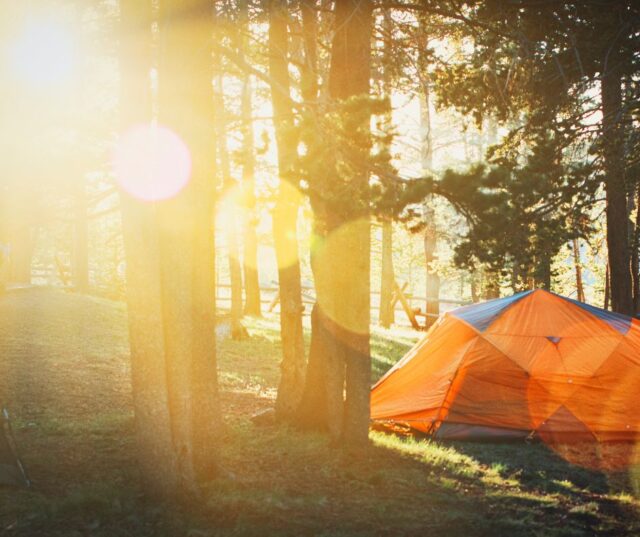 An orange tent in a sunlight forest